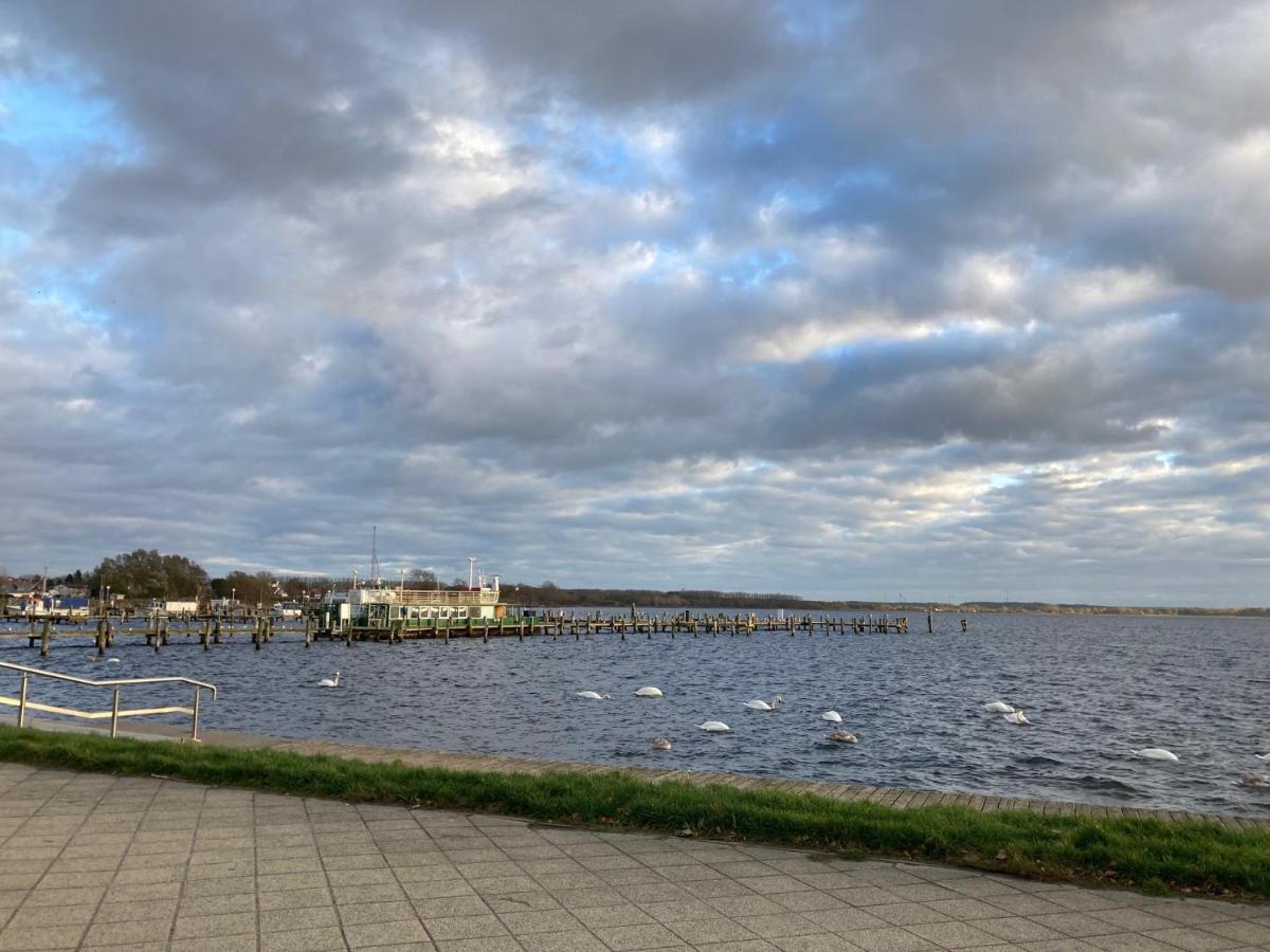 Ferienwohnung Andresen Duenenstrasse 16 Rerik Exteriör bild